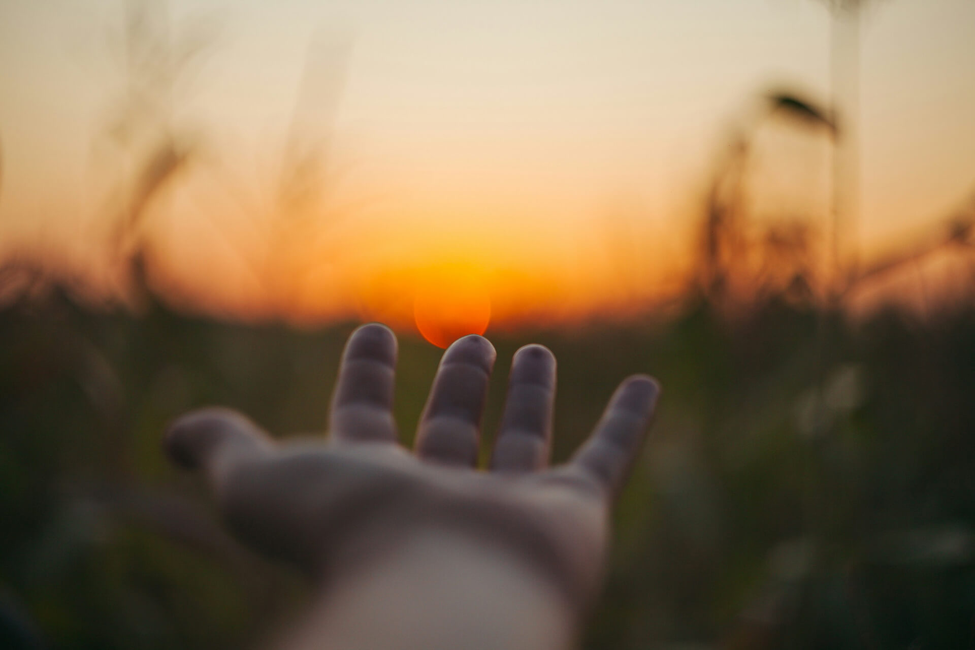 outstretched hand